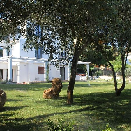 Villa La Conchiglia Rooms Cala Liberotto Extérieur photo