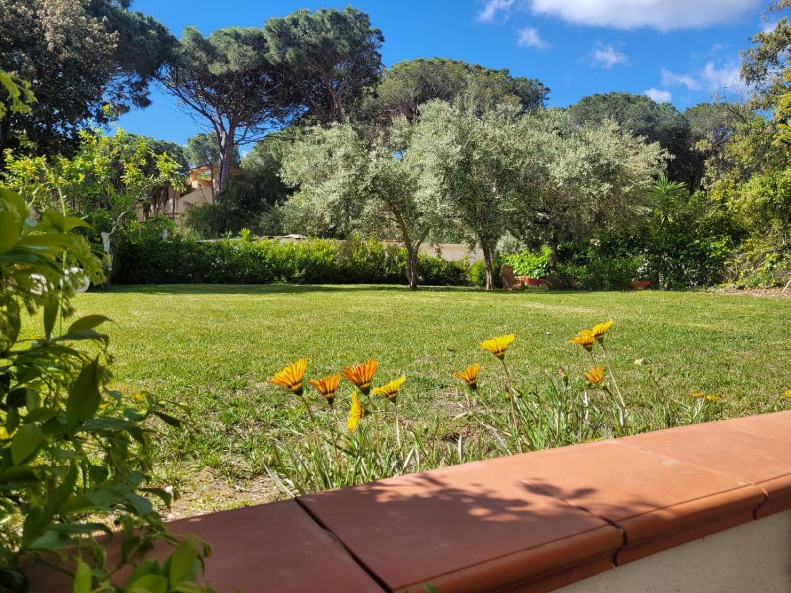 Villa La Conchiglia Rooms Cala Liberotto Extérieur photo