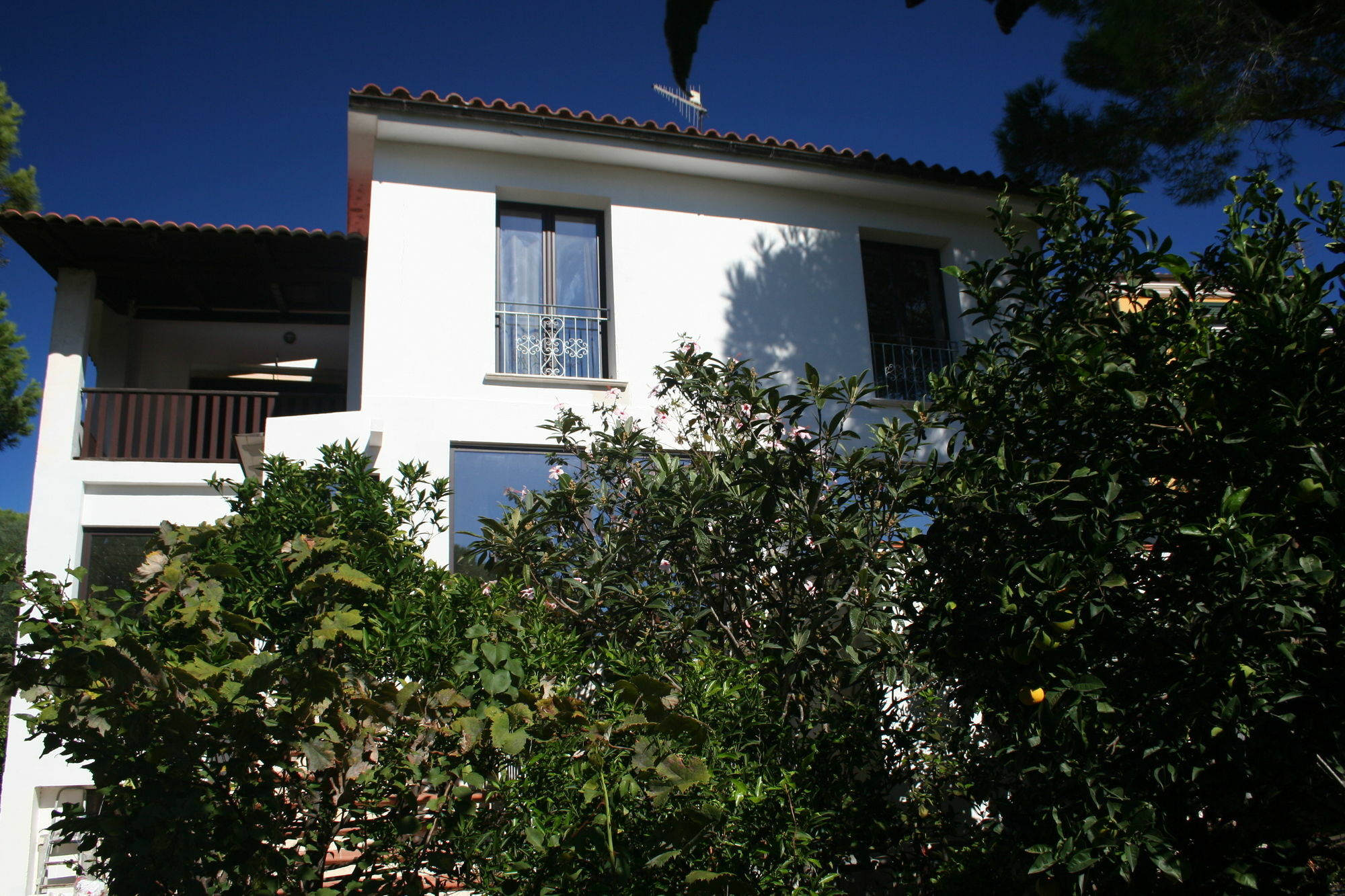 Villa La Conchiglia Rooms Cala Liberotto Extérieur photo